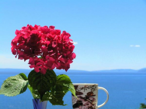  Guest House Lifestyle Holiday  Опатия
